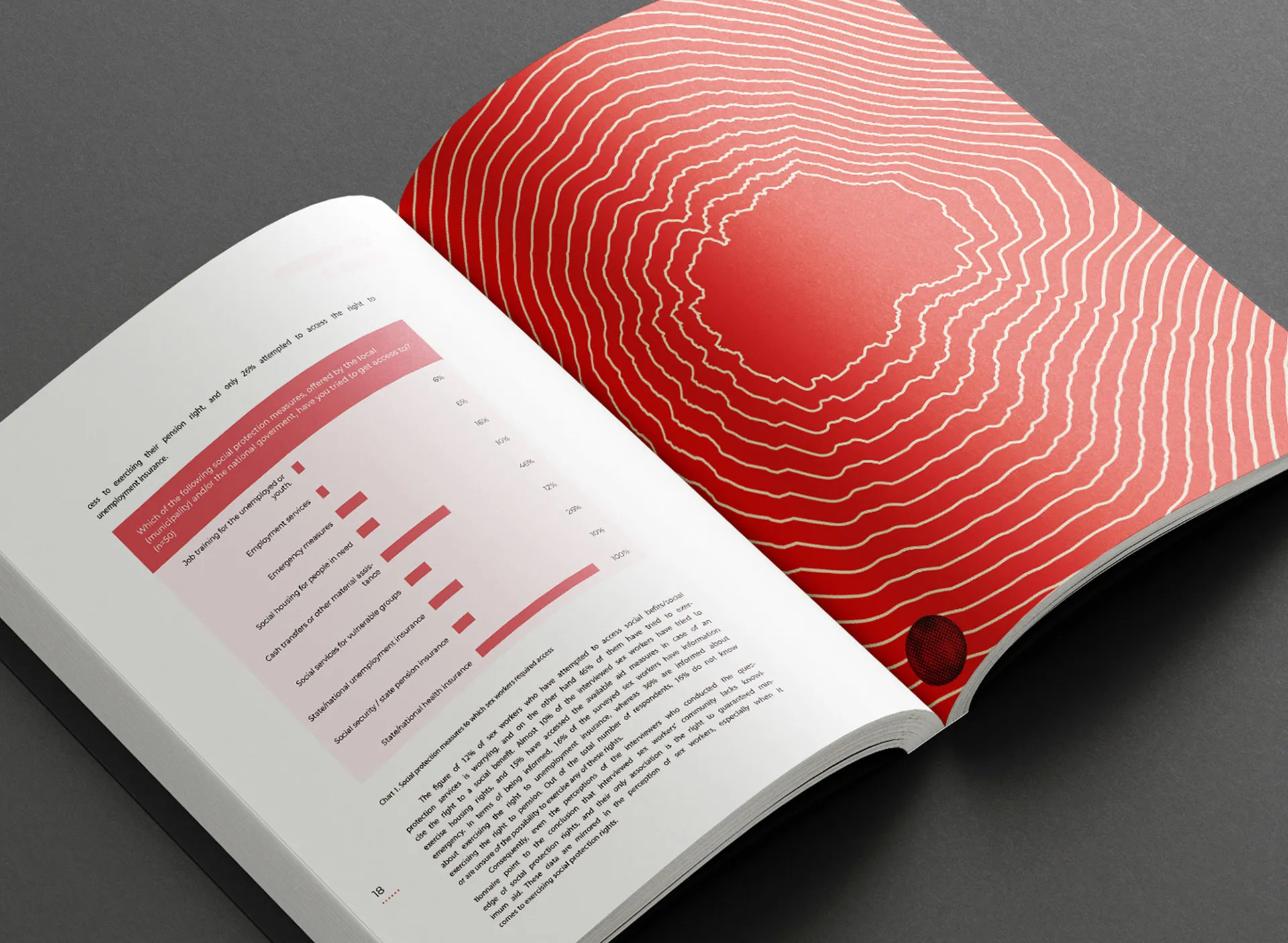 Healthcare access report interior